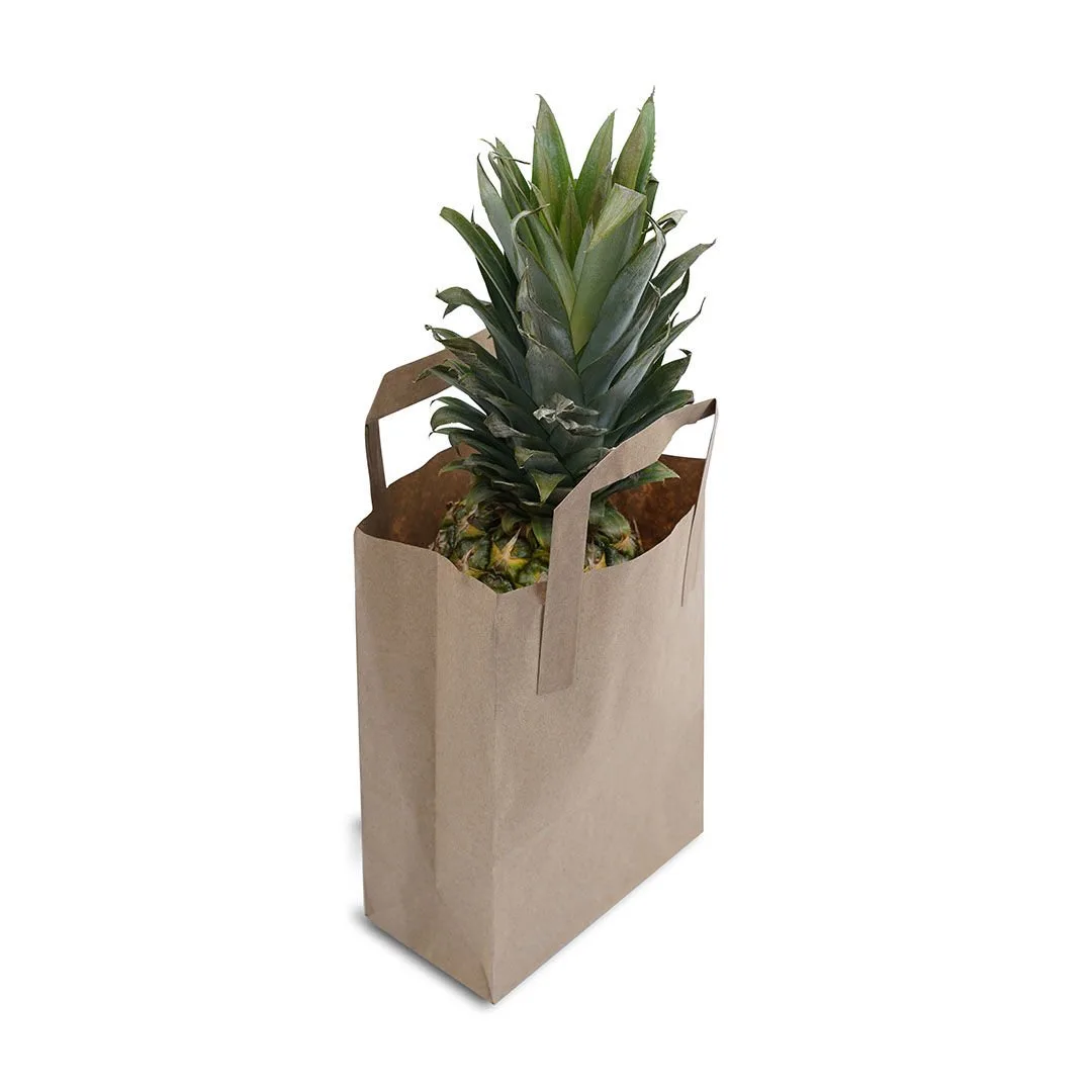 28x28x16 cm Düz Saplı Kağıt Çanta – Esmer – 50'li Paket