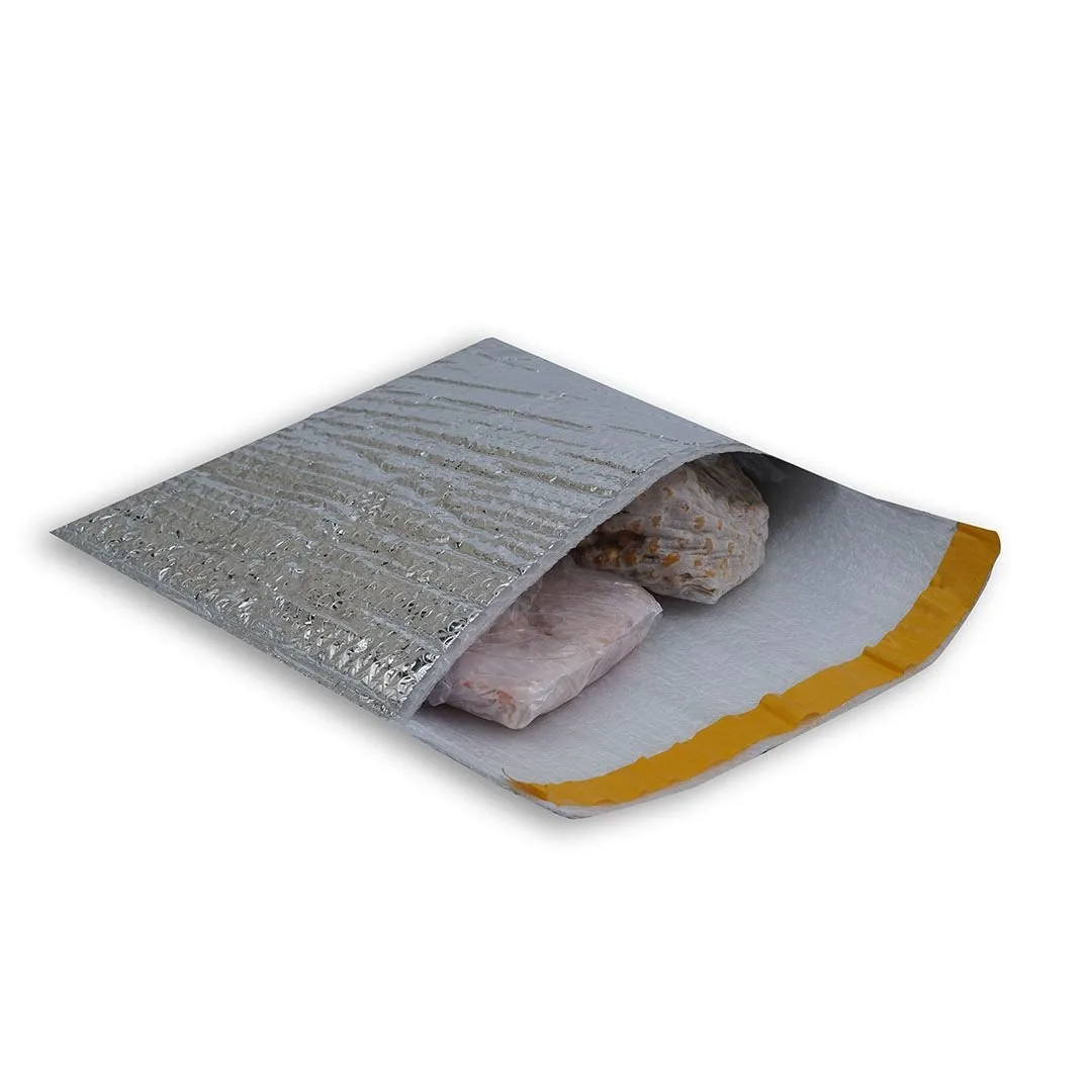 55x35x5 cm Soğuk Zincir Torbası – 10'lu Paket