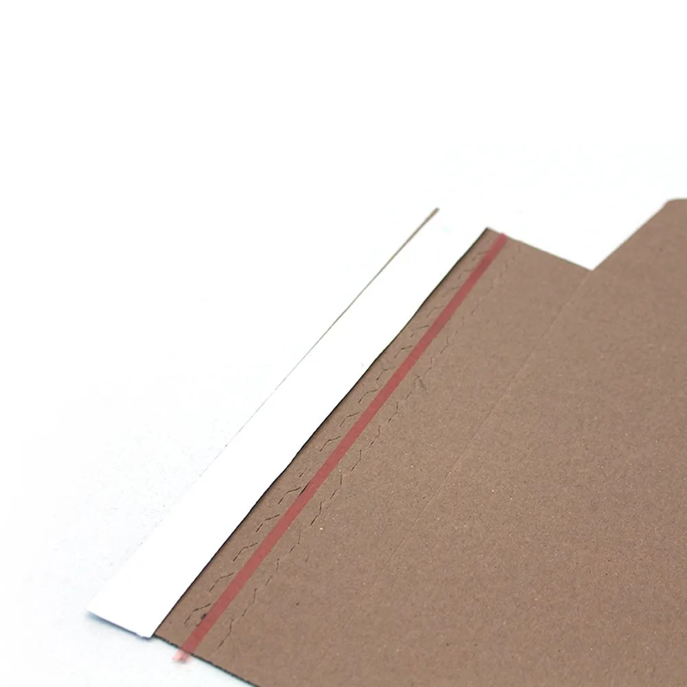 10 Bin TL Hedefli Kumbara 27,5x22,5x7,5 cm – Beyaz – 3'lü Paket
