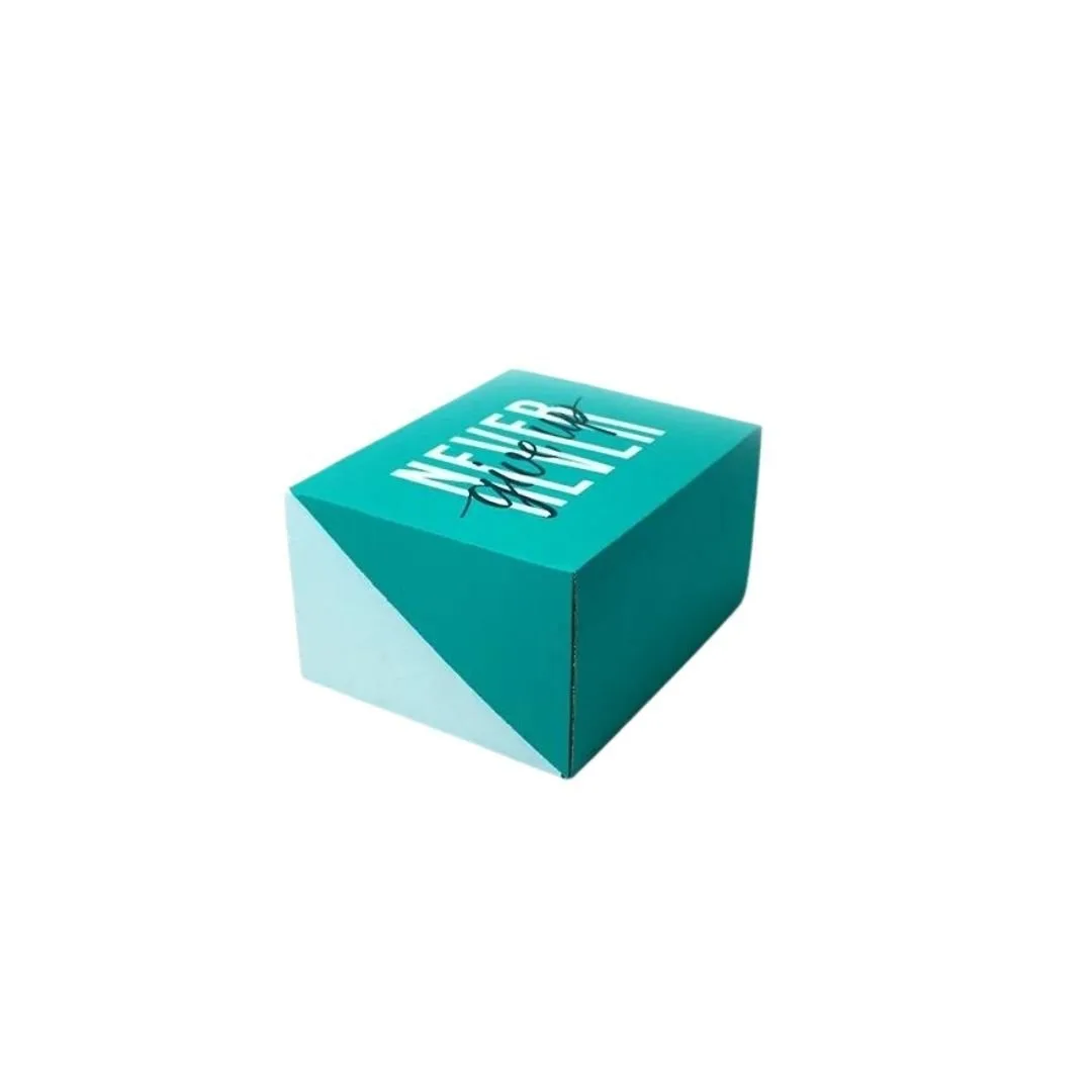 Never Give Up Motivasyon Kutusu 27,5x22x15 cm – 1 Adet